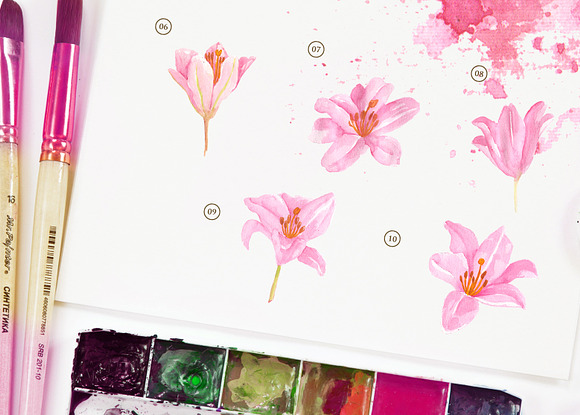 Lily Brindisi Flower Watercolor in Objects - product preview 2