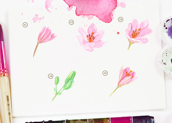 Lily Brindisi Flower Watercolor in Objects - product preview 3