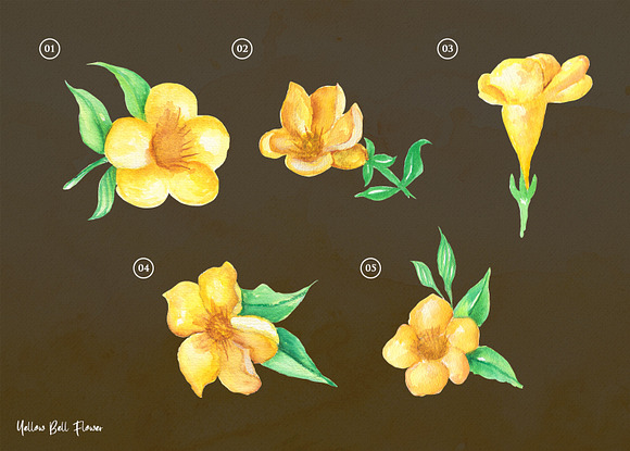 Yellow bell Flower Watercolor in Illustrations - product preview 1