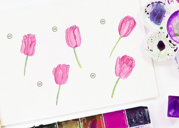 Pink Tulip Flower Watercolor in Illustrations - product preview 1
