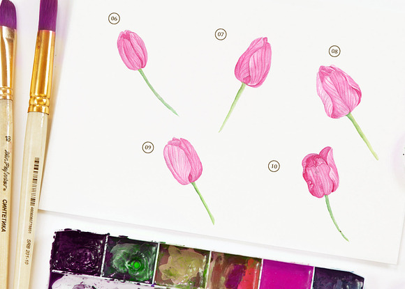 Pink Tulip Flower Watercolor in Illustrations - product preview 2