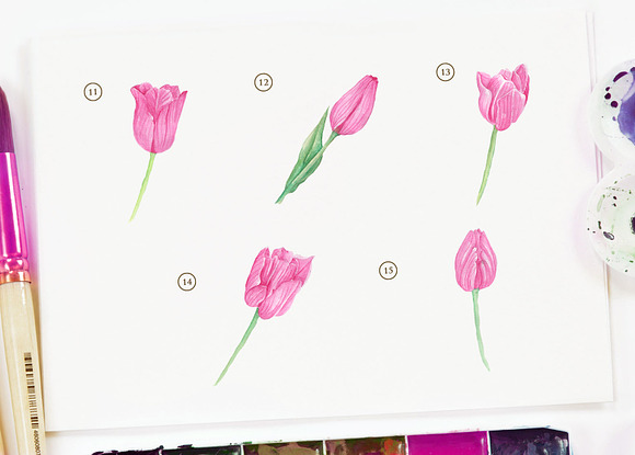 Pink Tulip Flower Watercolor in Illustrations - product preview 3