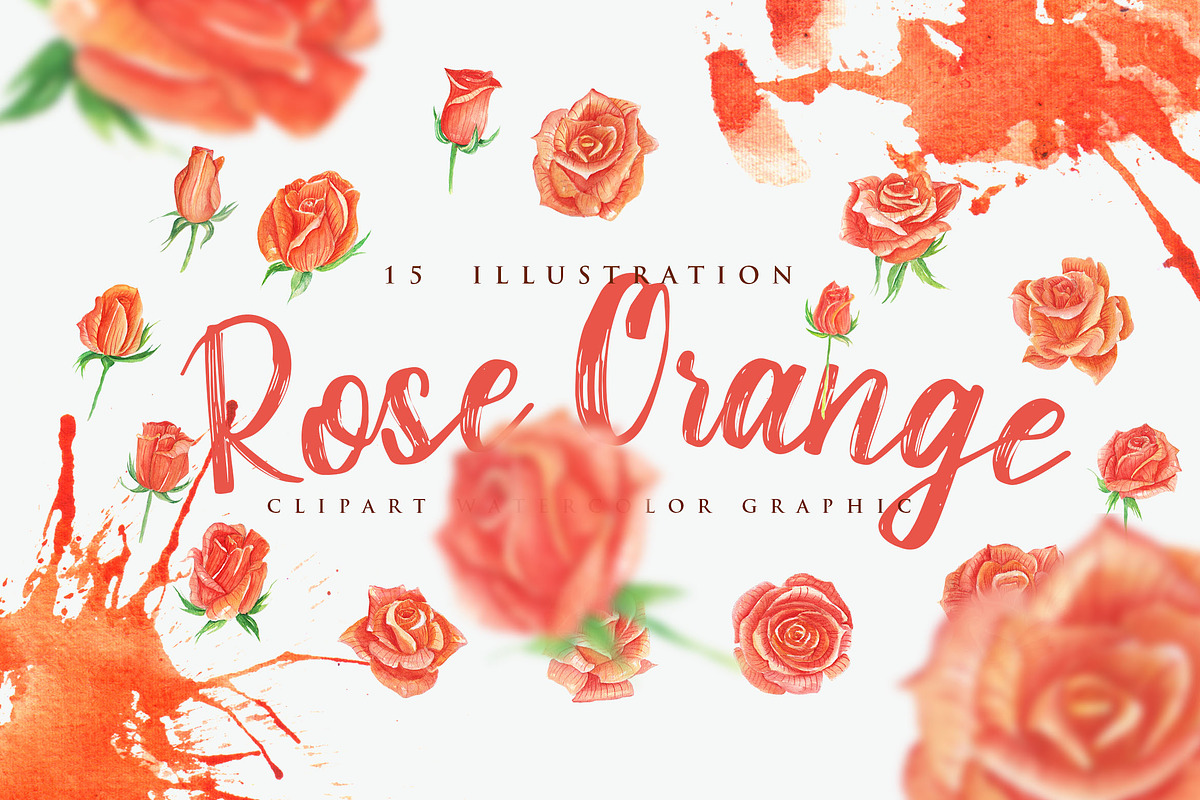 Rose Orange Flower Watercolor in Objects - product preview 8
