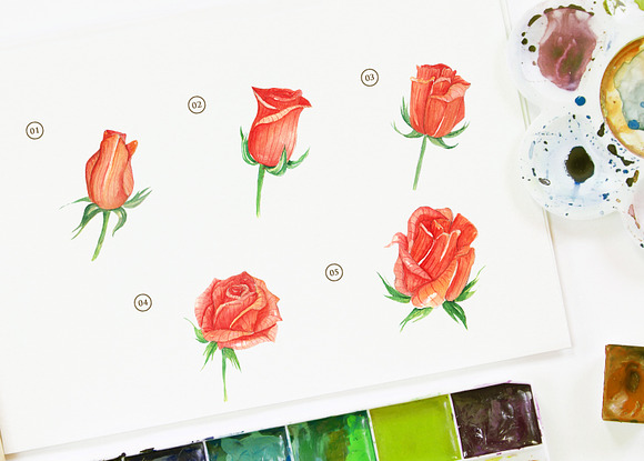 Rose Orange Flower Watercolor in Objects - product preview 1