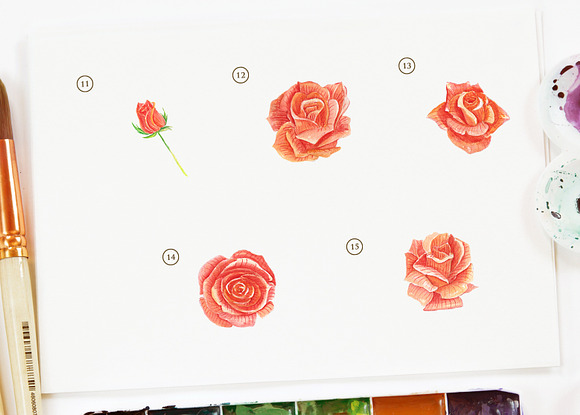 Rose Orange Flower Watercolor in Objects - product preview 3