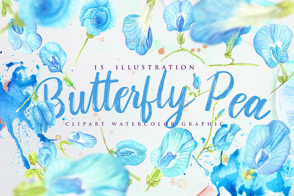 Butterfly Pea Flower Watercolor in Objects - product preview 8