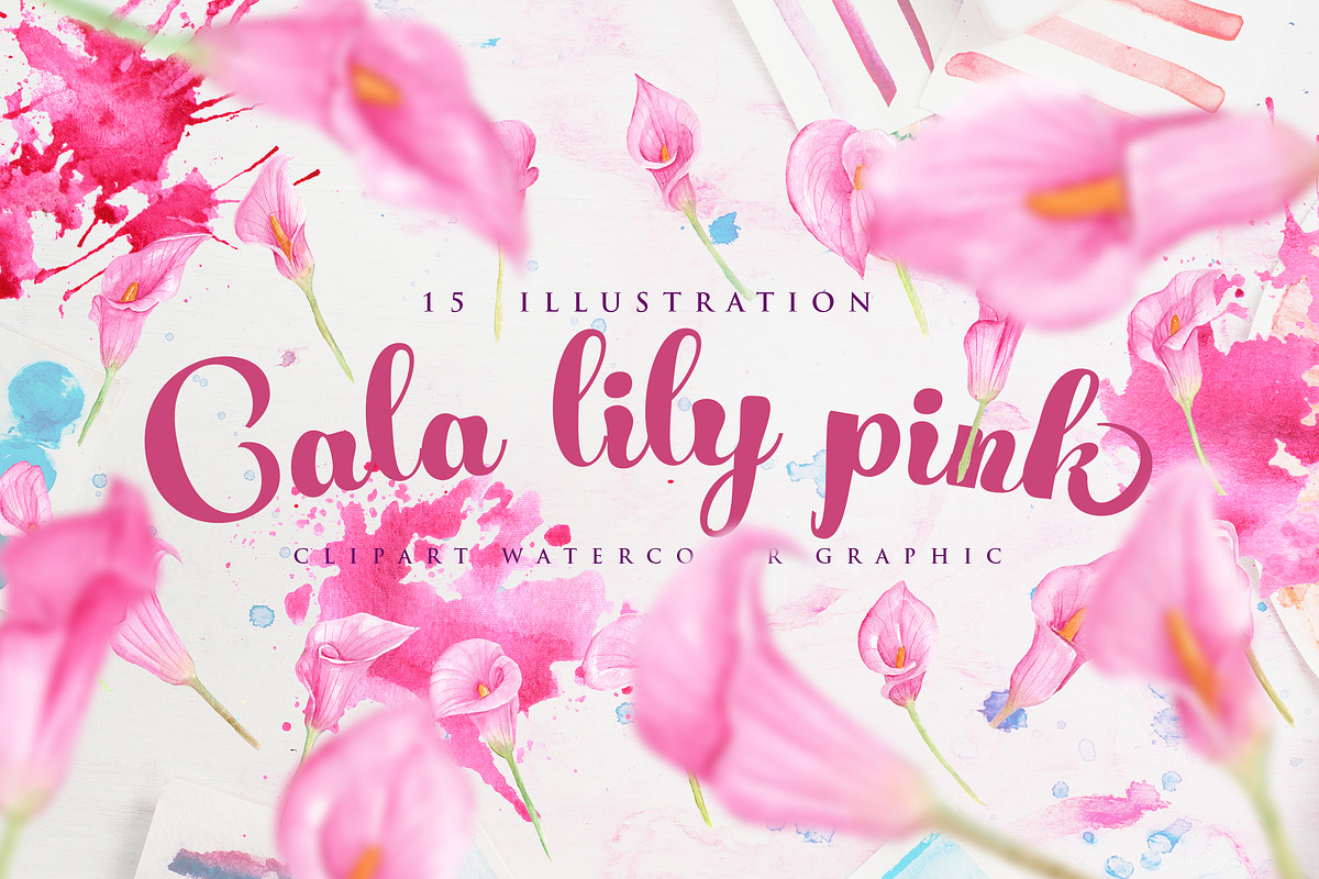 cala lily pink Watercolor in Objects - product preview 8
