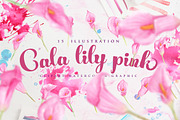 cala lily pink Watercolor