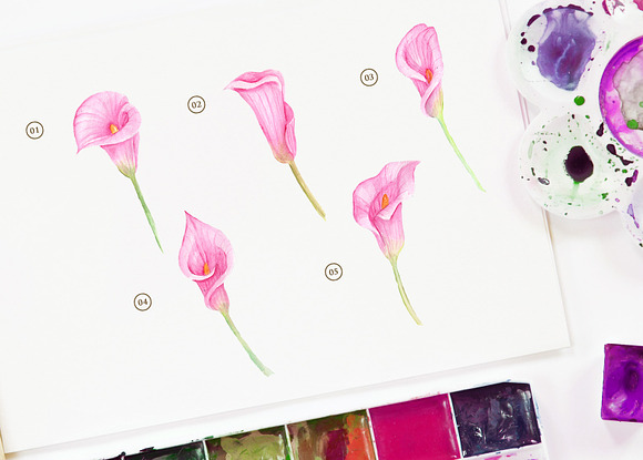 cala lily pink Watercolor in Objects - product preview 1
