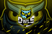 Owls - Mascot & Esport Logo