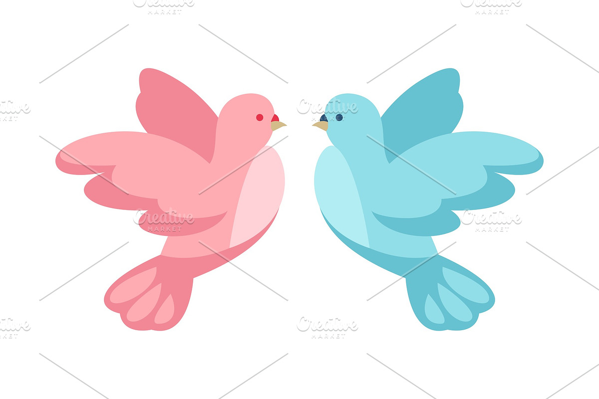 Pink and blue dove. in Illustrations - product preview 8