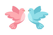 Pink and blue dove.