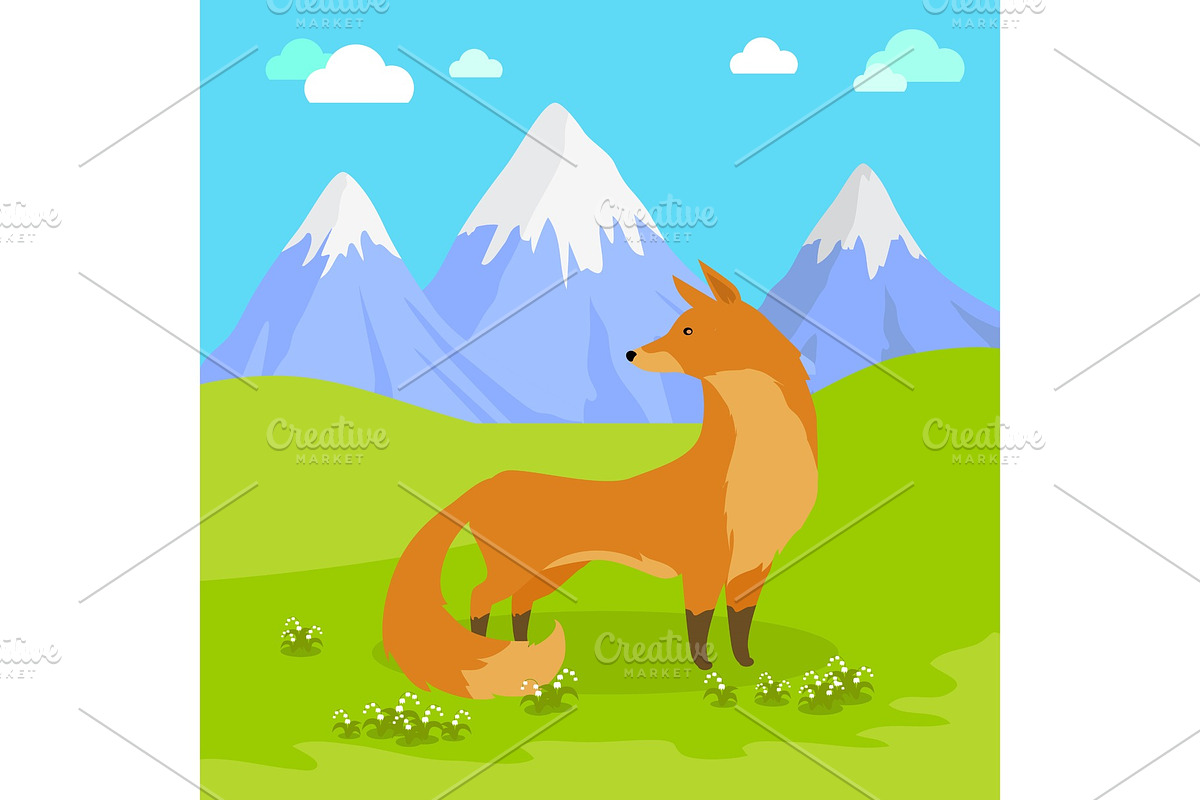 Red Fox Standing on the Meadow in in Illustrations - product preview 8