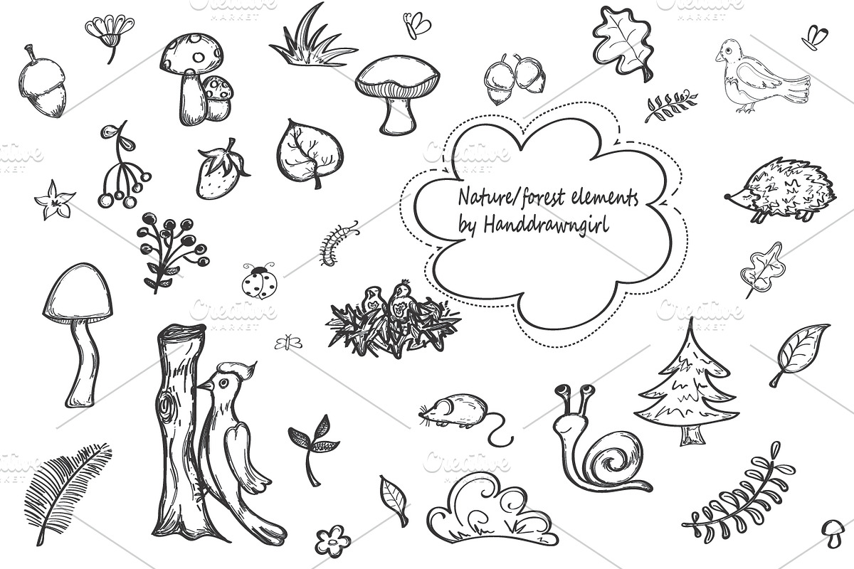 Nature/forest hand drawn elements in Objects - product preview 8