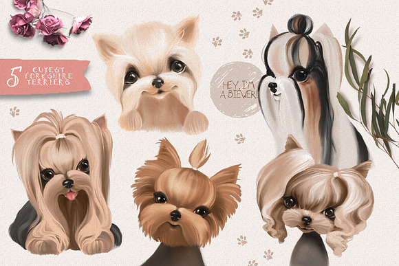Yorkies, Please! in Illustrations - product preview 3