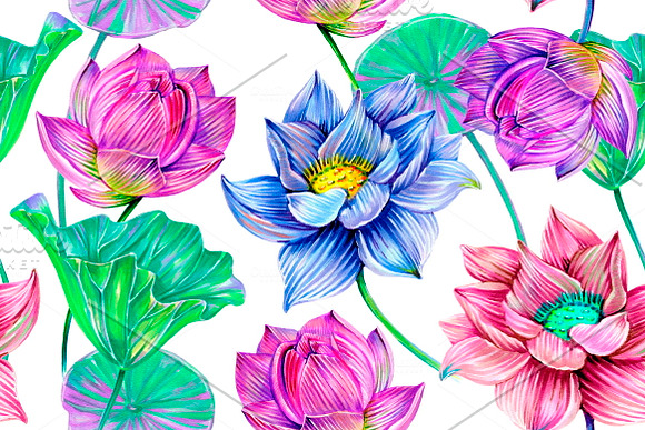 Botanical lotus patterns in Patterns - product preview 1