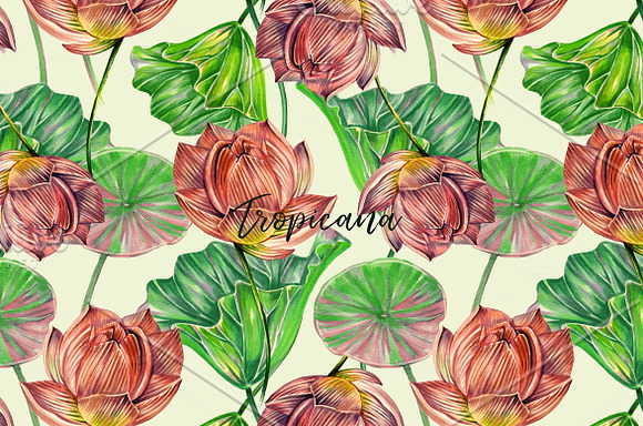 Botanical lotus patterns in Patterns - product preview 6