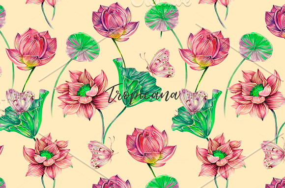 Botanical lotus patterns in Patterns - product preview 7