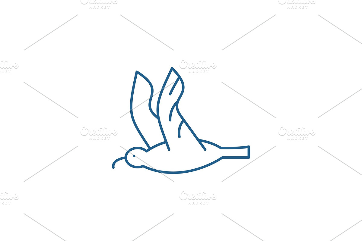 Gull line icon concept. Gull flat in Illustrations - product preview 8