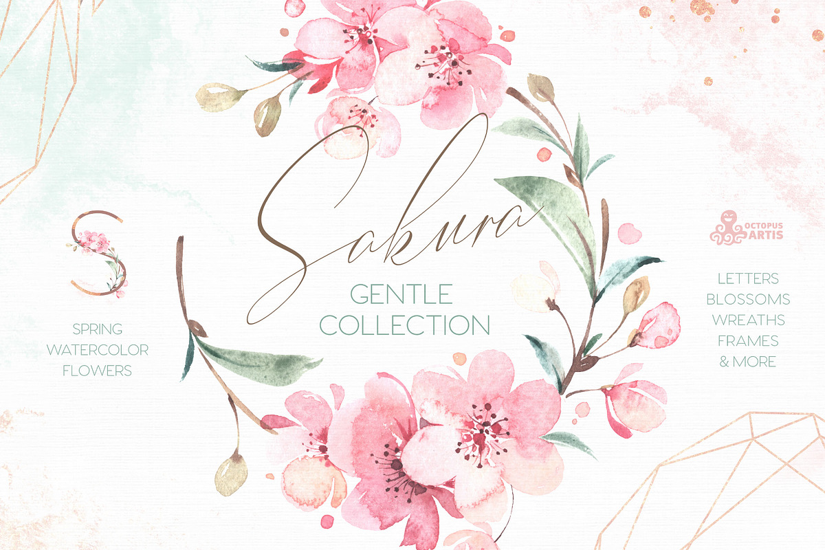 Sakura. Gentle Floral Collection in Illustrations - product preview 8