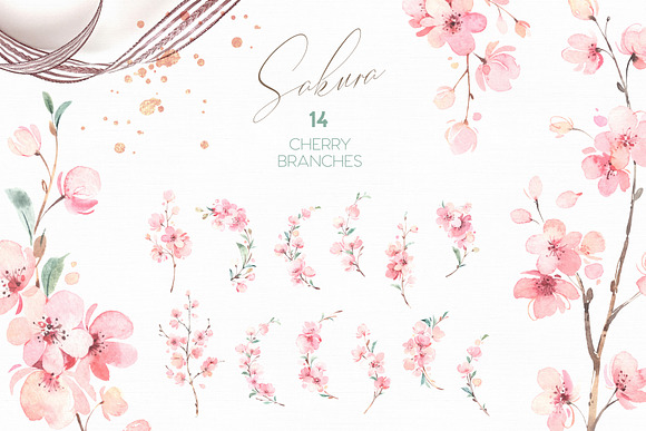 Sakura. Gentle Floral Collection in Illustrations - product preview 12