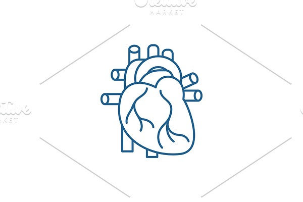 Human heart line icon concept. Human