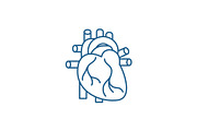 Human heart line icon concept. Human