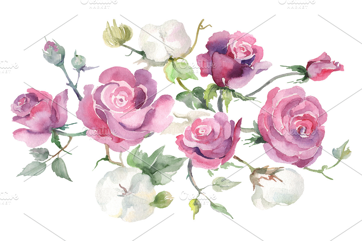 Bouquet with pink  roses and cotton in Illustrations - product preview 8