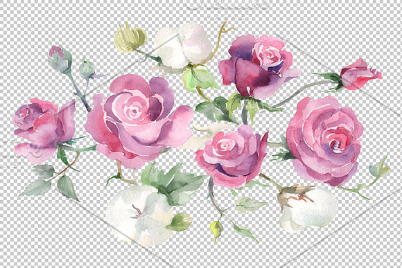 Bouquet with pink  roses and cotton in Illustrations - product preview 1