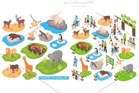 Zoo Isometric Set in Illustrations - product preview 1