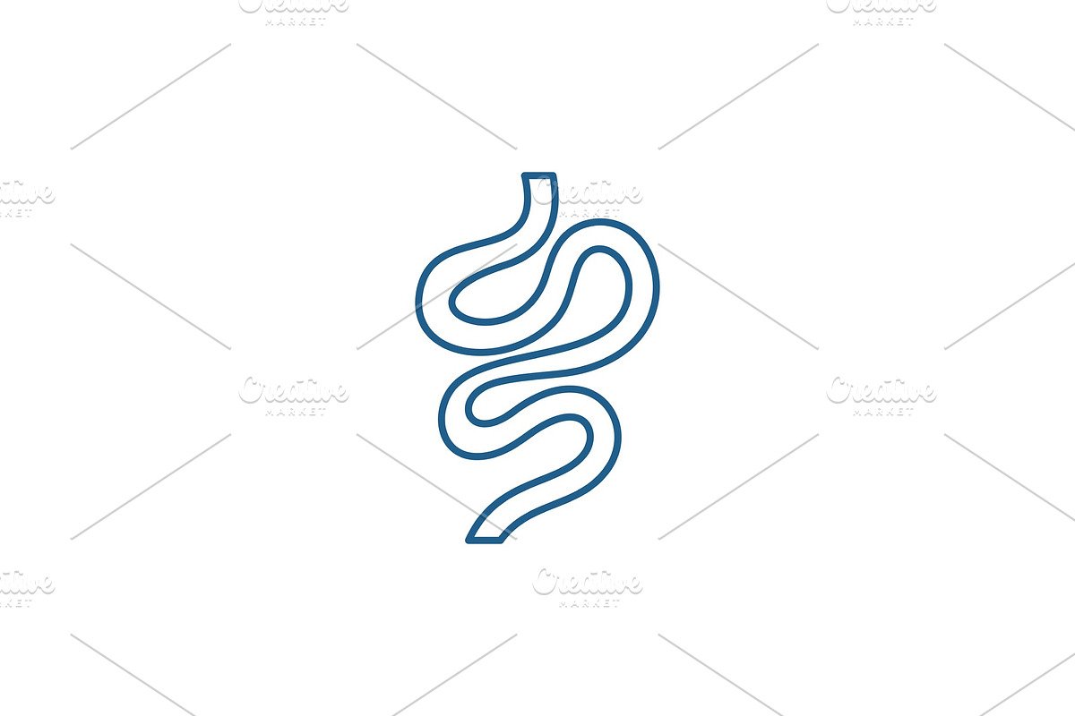 Intestines line icon concept in Objects - product preview 8