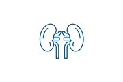 Kidney line icon concept. Kidney