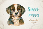 Little puppy watercolor clipart