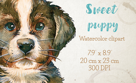 Little puppy watercolor clipart in Illustrations - product preview 1