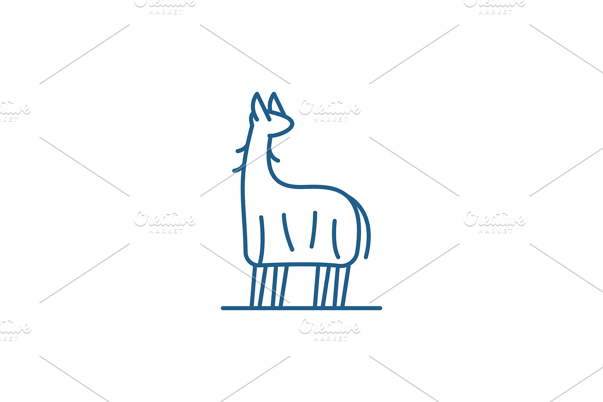 Lama line icon concept. Lama flat in Illustrations - product preview 8