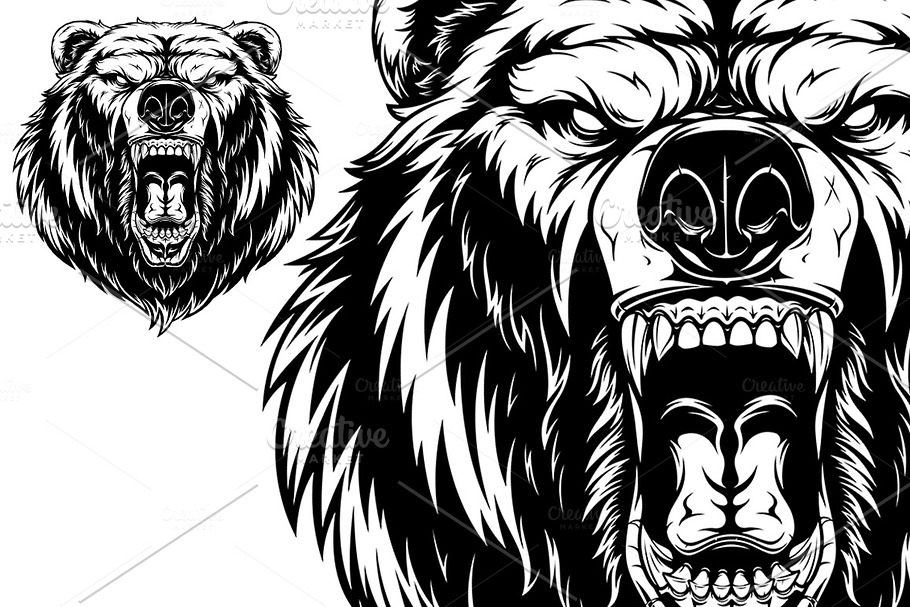 Head of a ferocious bear in Illustrations - product preview 8