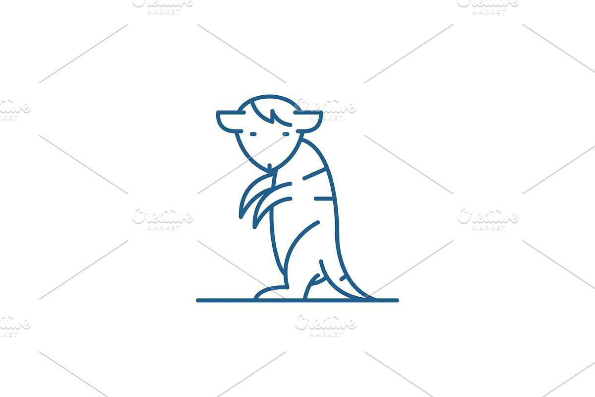 Meerkat line icon concept. Meerkat in Illustrations - product preview 8