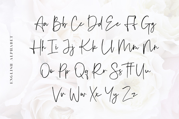 Audrey - A Script Font in Fancy Fonts - product preview 6