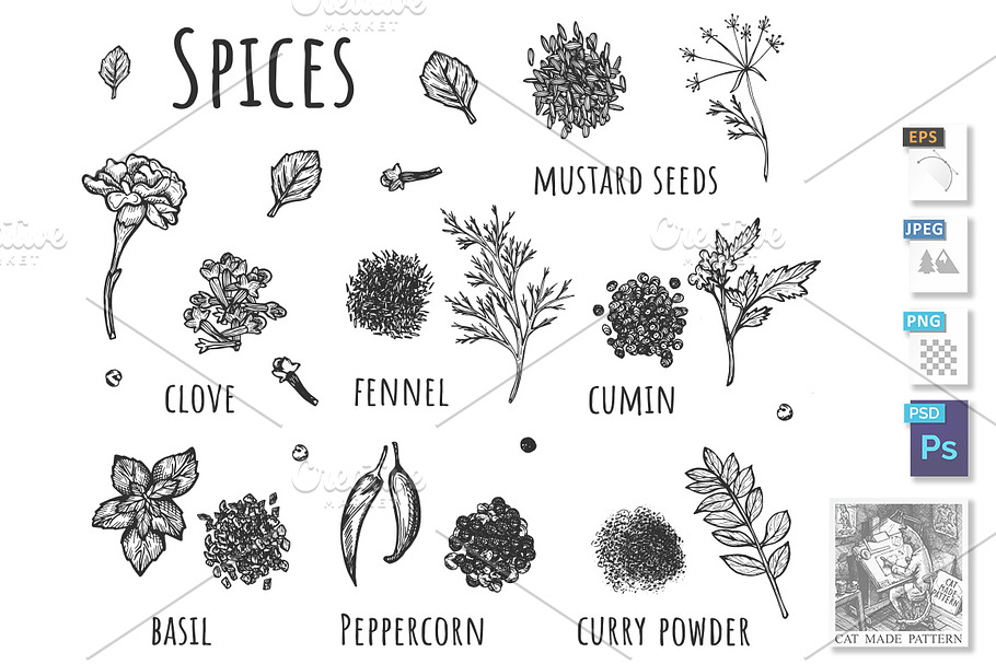 Set of kitchen herbs and spices