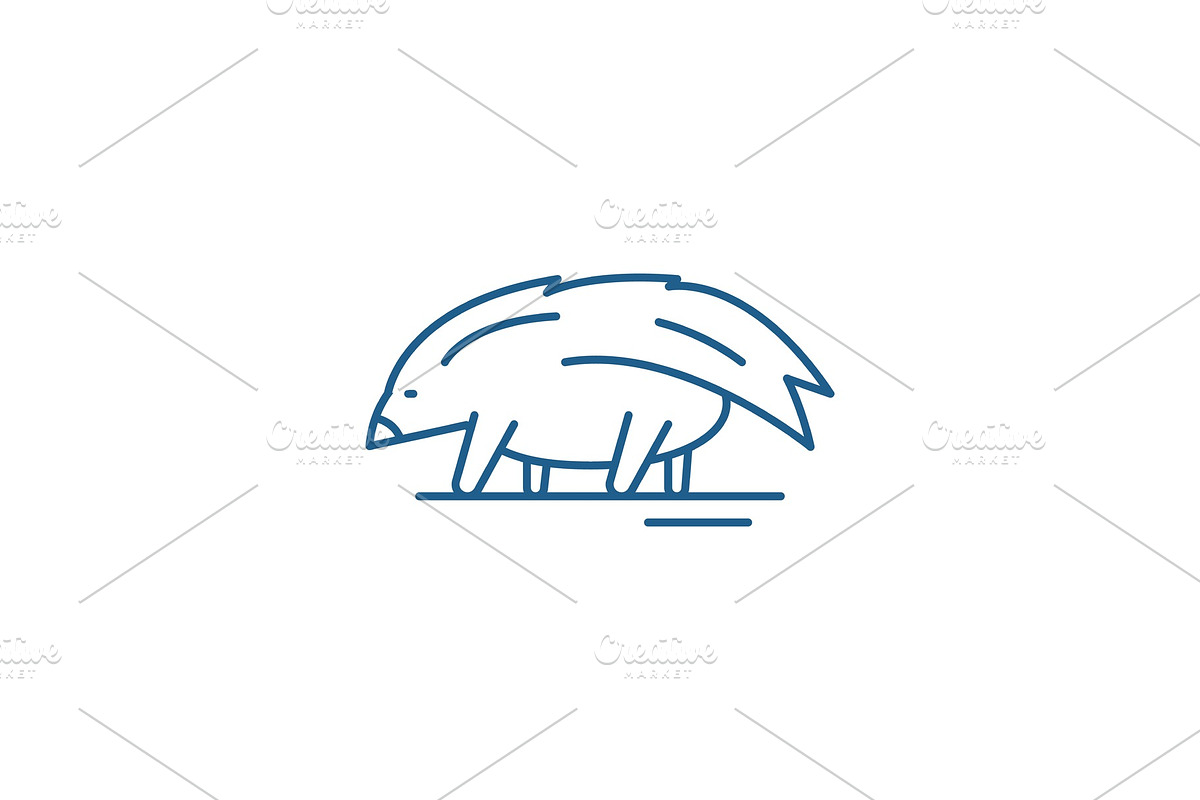 Porcupine line icon concept in Illustrations - product preview 8