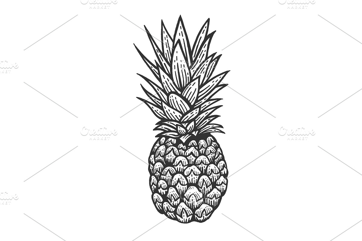 Pineapple sketch engraving vector in Illustrations - product preview 8