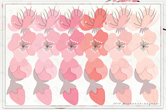 Cherry Blossoms 04 Pink and Peach in Illustrations - product preview 3