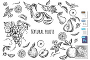 Collection hand drawn fruit