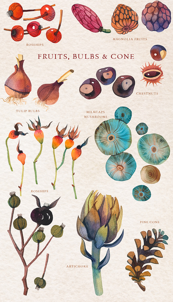 Nature Gifts Watercolor Design Set in Illustrations - product preview 3