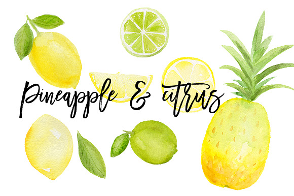 Summer Lemon Fruit Clip Art Bundle in Illustrations - product preview 3