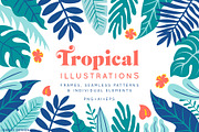Tropical Illustrations