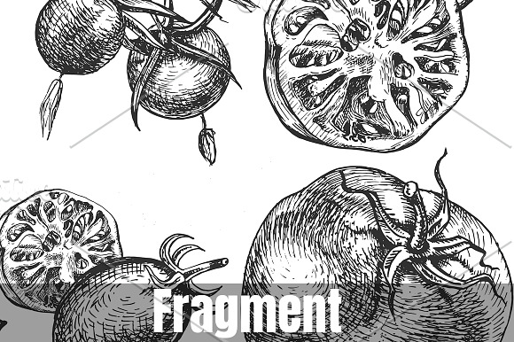 Cut and whole tomatoes composition in Illustrations - product preview 1