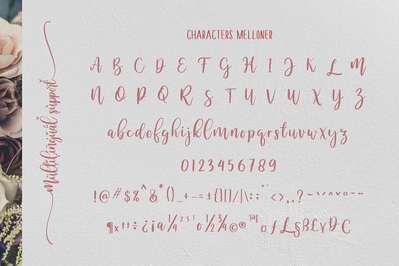 Melloner Fonts in Script Fonts - product preview 4
