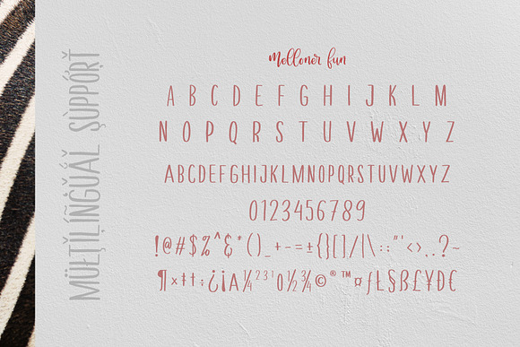 Melloner Fonts in Script Fonts - product preview 6