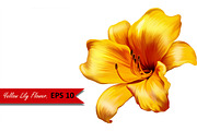 Yellow Lily Flower. Vector. EPS 10